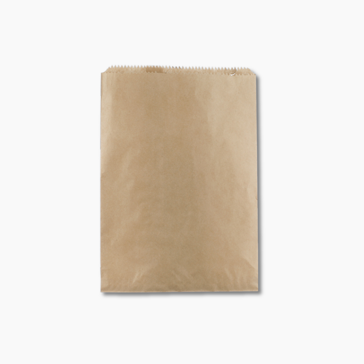 Brown Paper Bag - 6F Flat