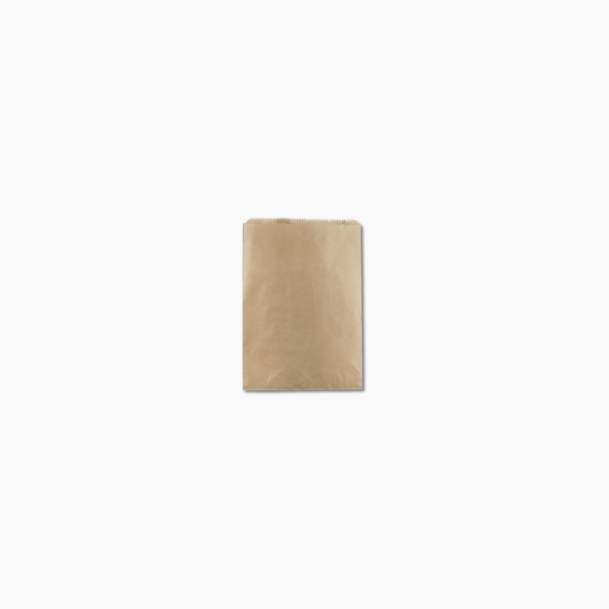 Brown Paper Bag - 1F Flat